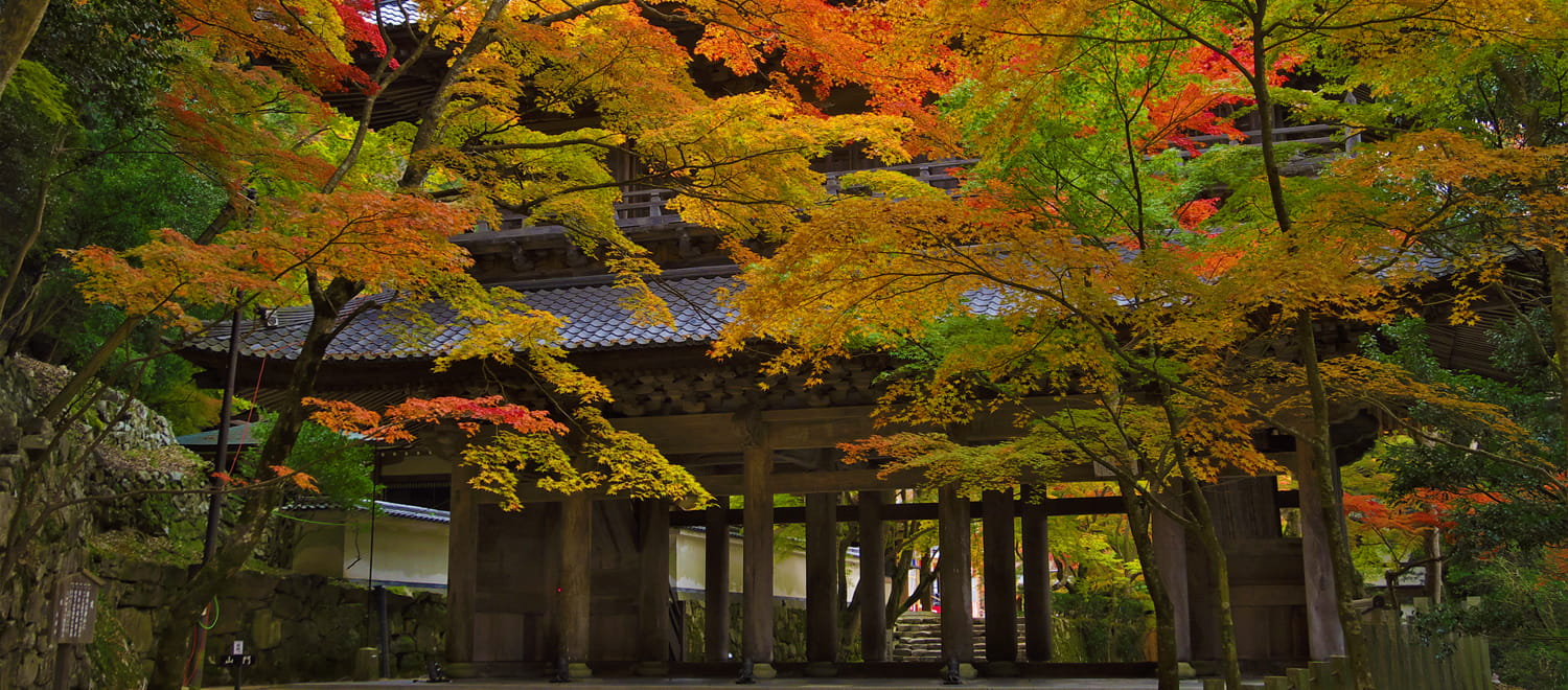 Eigenji Temple Autumn Foliage Shiga