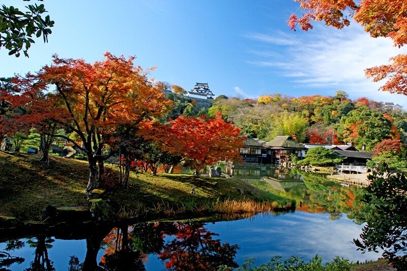 Genkyuen Garden and Hikone Castle Autumn Leaves