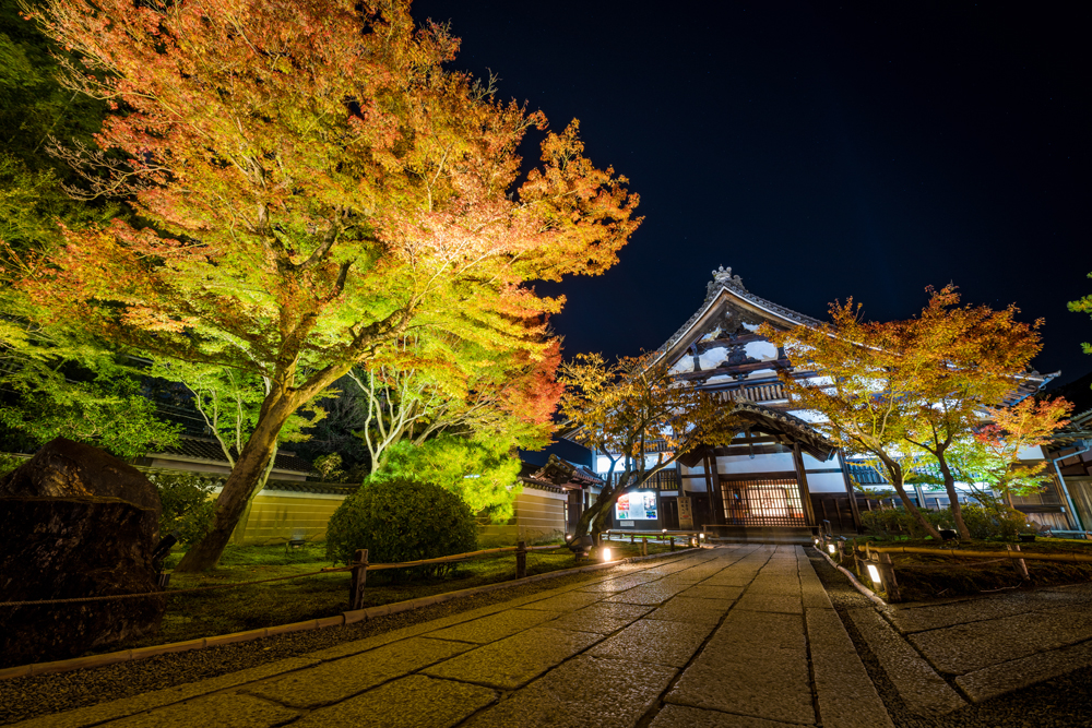 Kodaiji Temple Autumn Garden Pond Kyoto