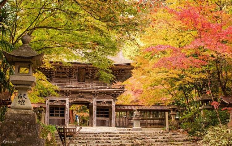 Oyada Shrine Maple Valley Mino Gifu