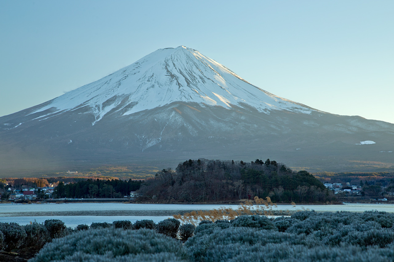 Oishi Park Lake Kawaguchiko Mt Fuji Autumn