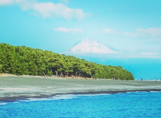 Miho no Matsubara Pine Grove and Mount Fuji